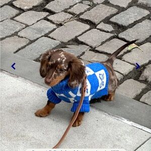 ISO: Little Beast Lauda Cardi x Lisa Says Gah Dog Sweater XS